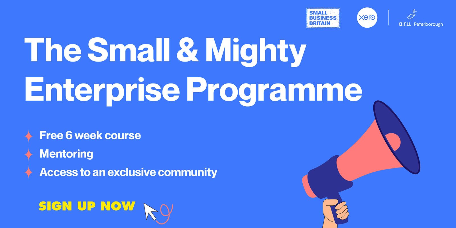 Small & Mighty Programme