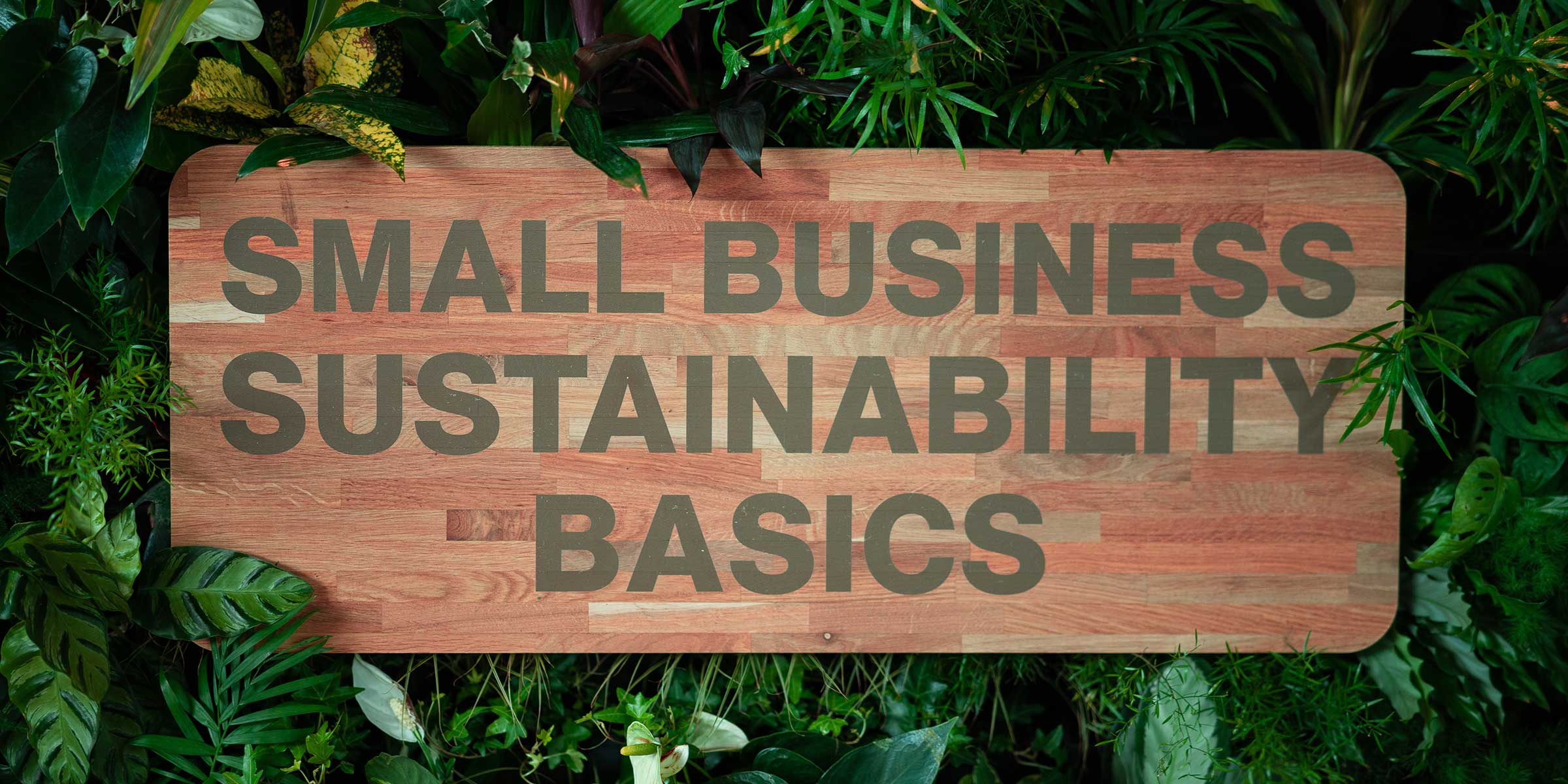 Sustainability Basics Research Header